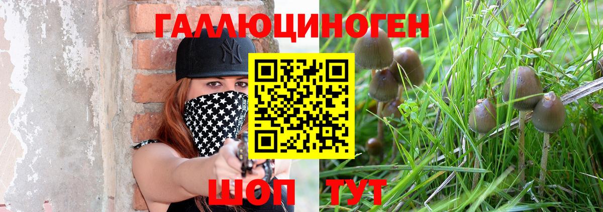 Сосновый Бор  Псилоцибиновые грибы Magic Shrooms  Псилоцибиновые грибы GOLDEN TEACHER  Вход с VPN 